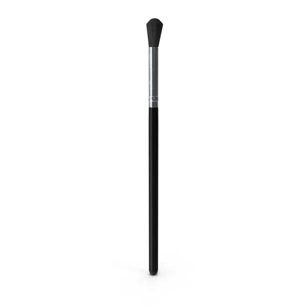Makeup Brush