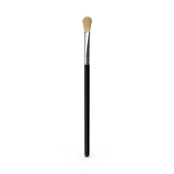 Makeup Brush