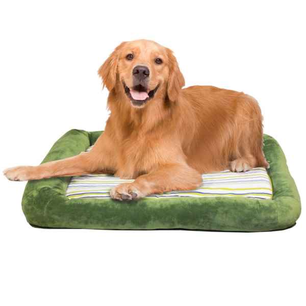 Dog bed