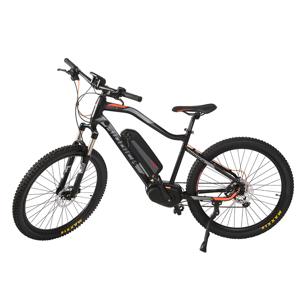Electric bike type eb56