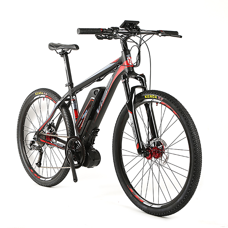 Electric bike type eb56